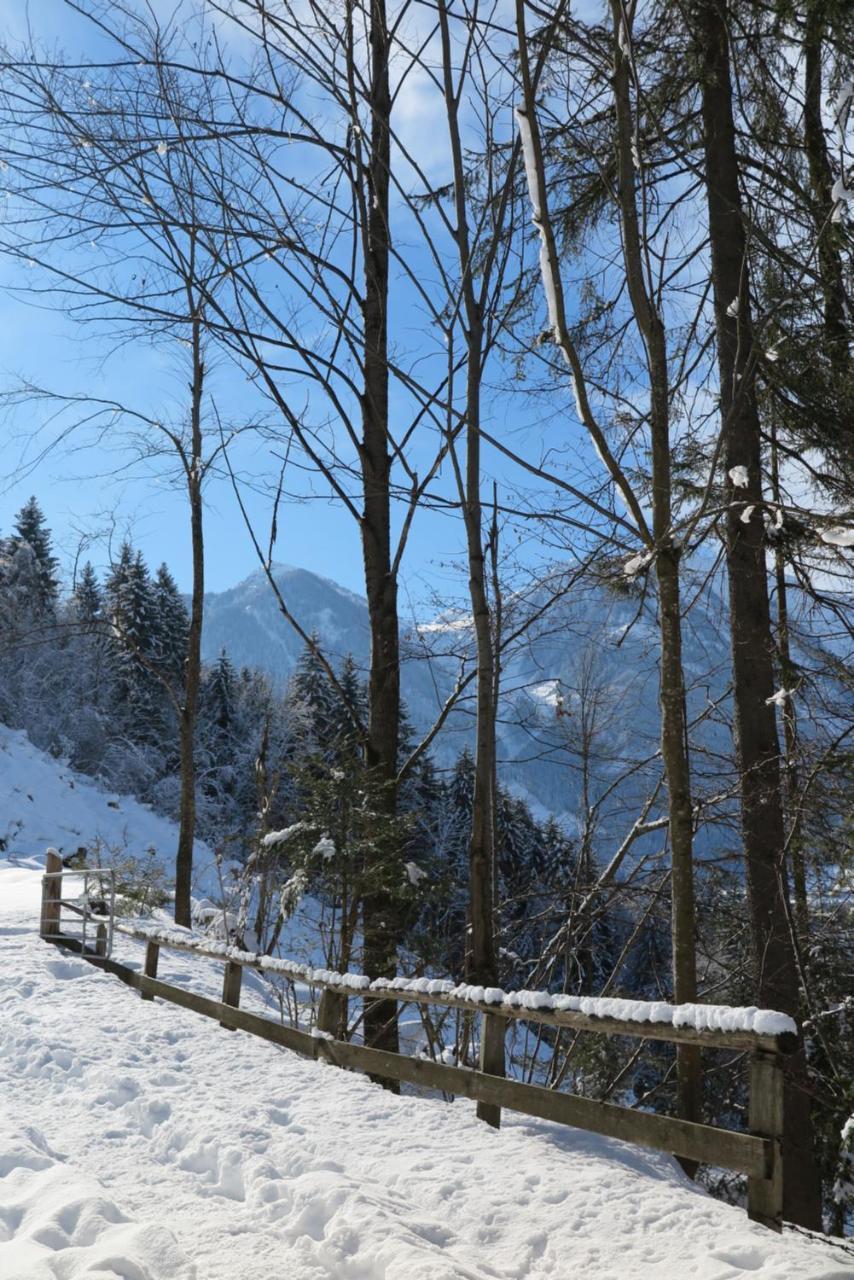 Haus Enzian Sankt Johann im Pongau Exterior foto