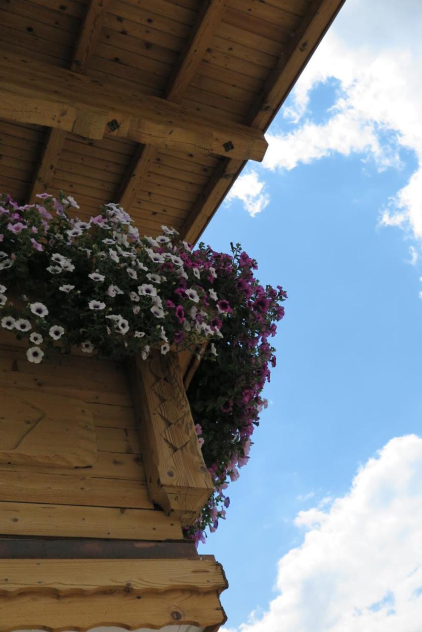 Haus Enzian Sankt Johann im Pongau Exterior foto