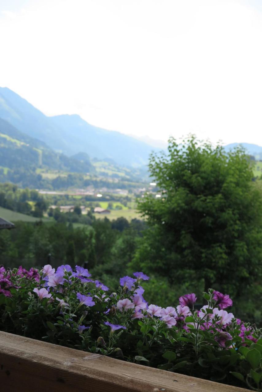 Haus Enzian Sankt Johann im Pongau Exterior foto